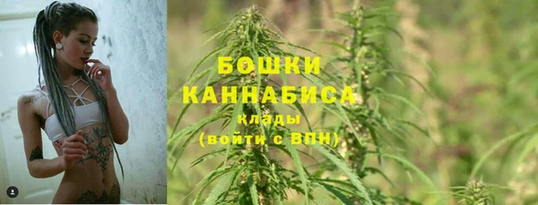 прущая мука Бородино