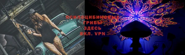 прущие грибы Бугульма