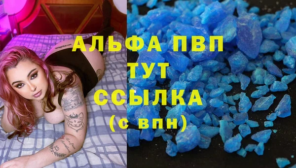 прущие грибы Бугульма