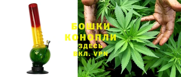 прущие грибы Бугульма