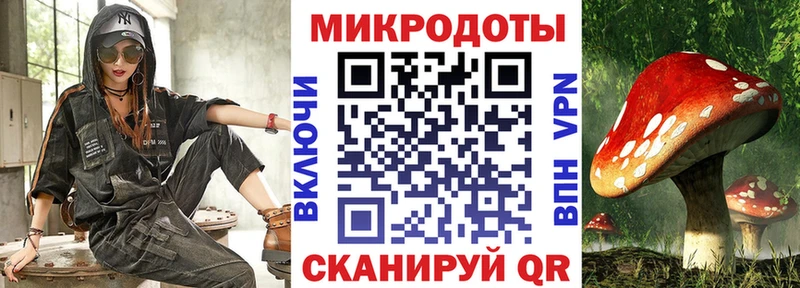 купить наркоту  Грозный  кракен ССЫЛКА  Псилоцибиновые грибы Magic Shrooms 