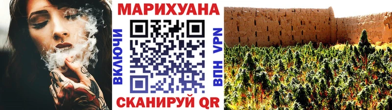 Бошки Шишки SATIVA & INDICA  купить наркотики сайты  Грозный 